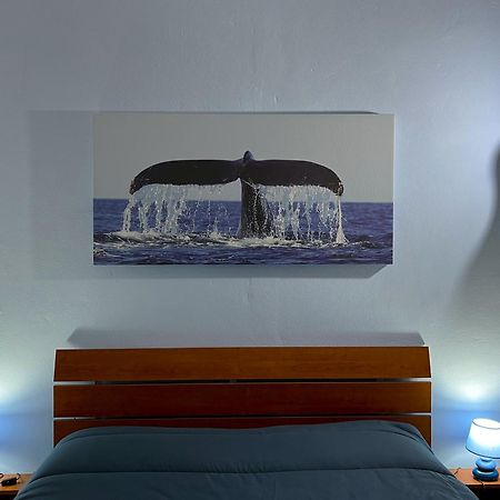 Casa Vacanze Oceano Livorno Buitenkant foto