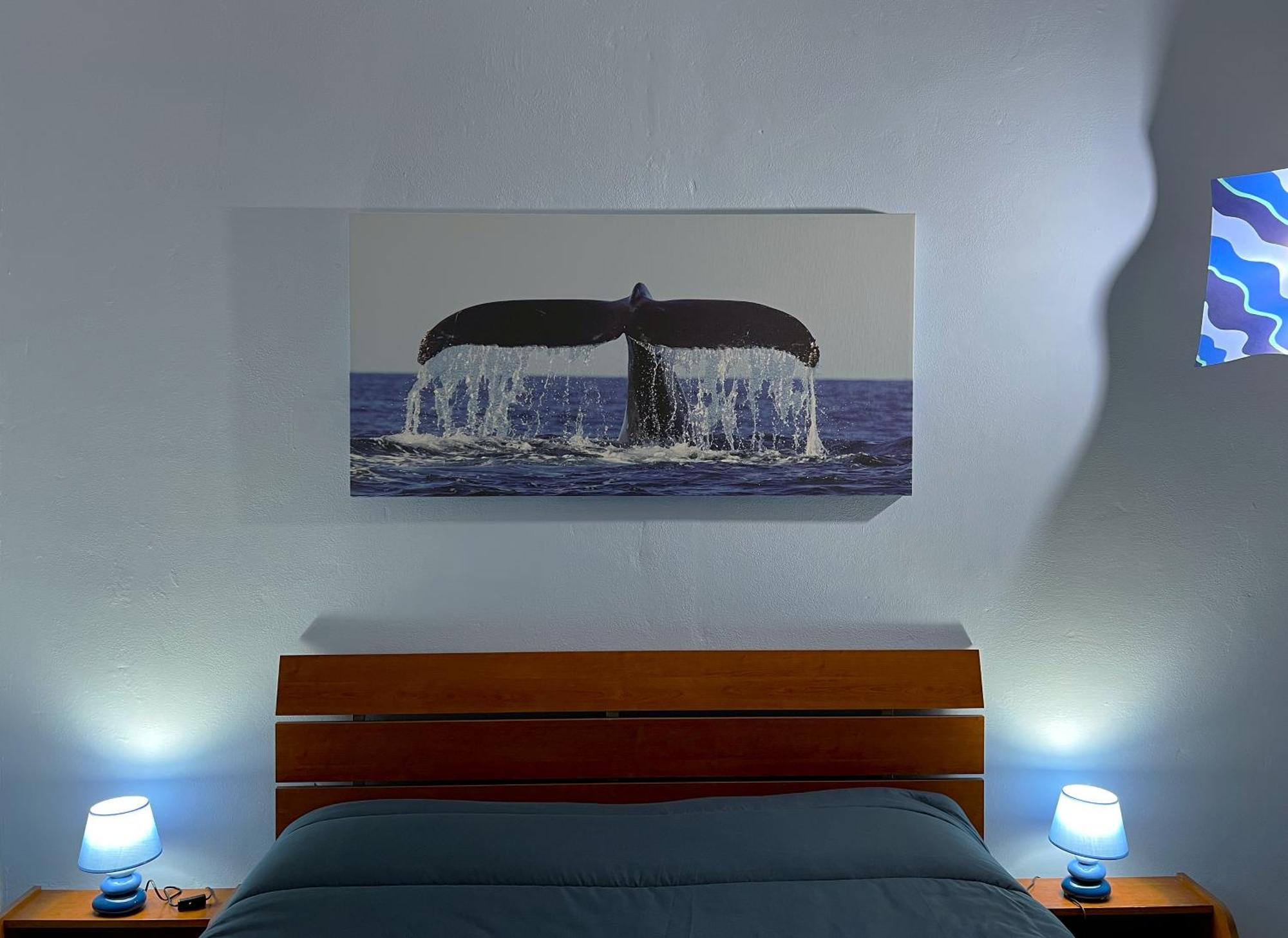 Casa Vacanze Oceano Livorno Buitenkant foto